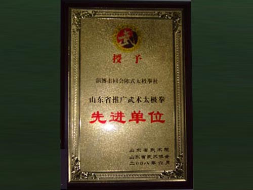 山东省“先进单位”荣誉证书